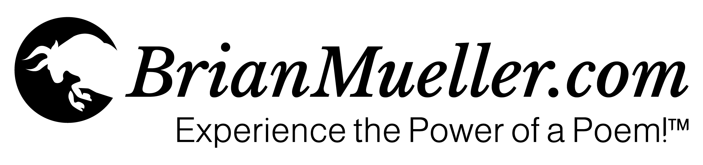 brianmueller.com